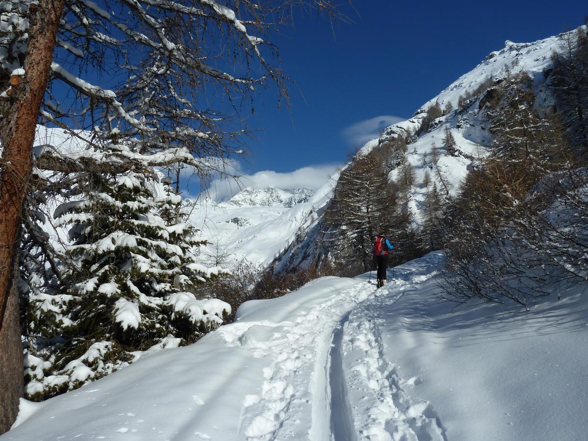 فندق Kals-am Großglocknerفي  Alpengasthof Lucknerhaus المظهر الخارجي الصورة