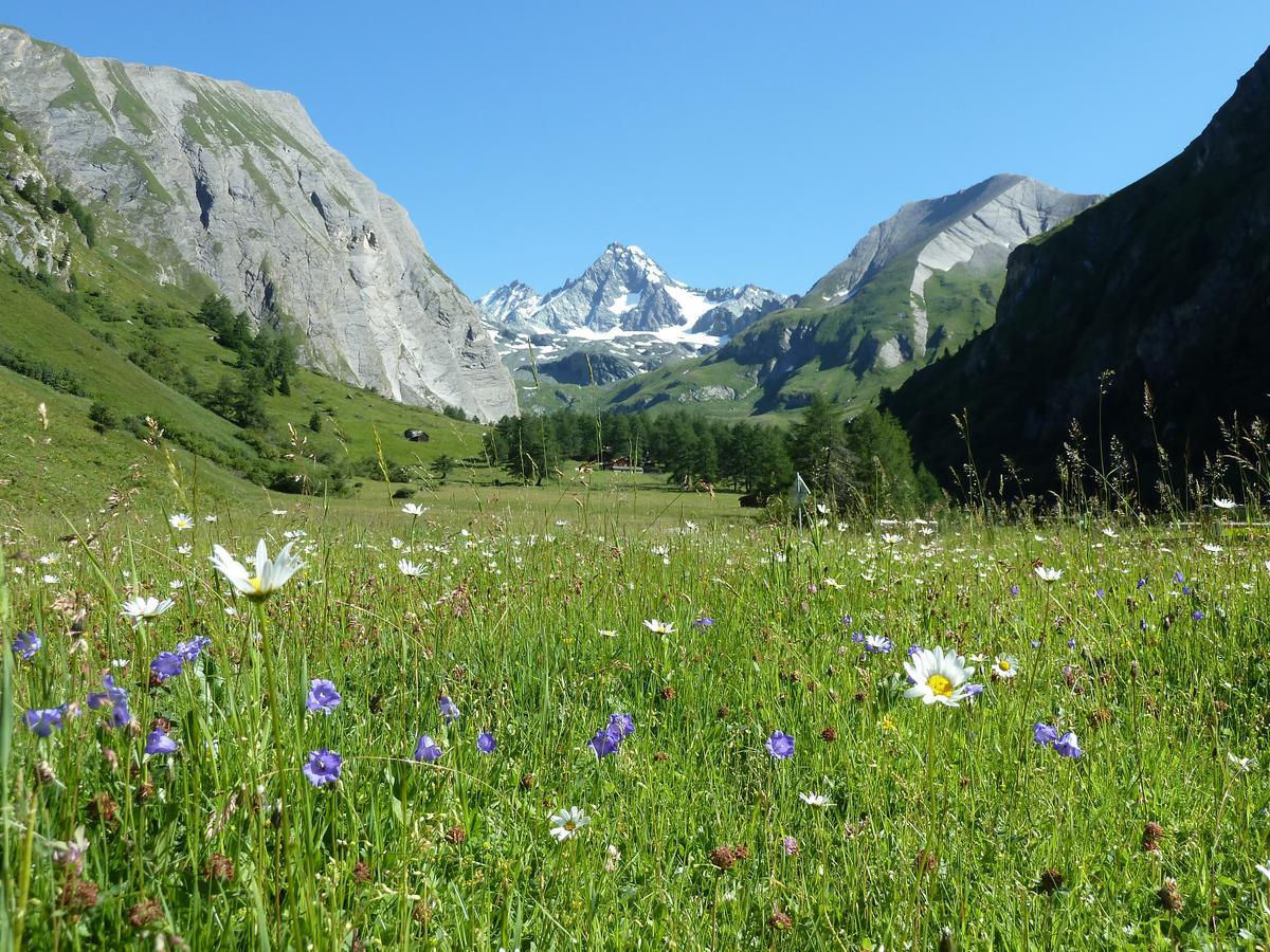 فندق Kals-am Großglocknerفي  Alpengasthof Lucknerhaus المظهر الخارجي الصورة